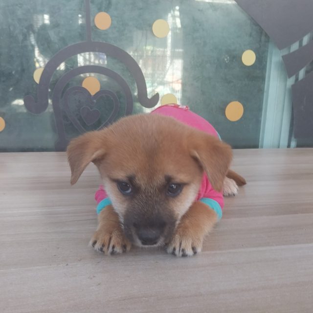 기타 사진